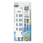 東億5開關4插座 USB-A+Type C延長線1.8公尺(6尺) TY-S907-6尺