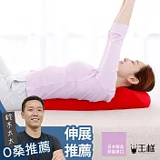 【日本王樣】王樣的舒背拉伸枕 (柴犬棕) | 鈴木太太公司貨