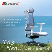 irocks T03 NEO 人體工學椅 透氣網椅 電腦椅-紡紗白