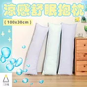 《三合苑HOMESense》涼感小長抱枕 100x30cm 情人節 聖誕節 交換禮物 臺灣製(三色任選) 紫堇