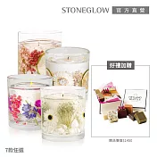 【STONEGLOW】優雅英倫花草系香氛燭限量組 #盛夏雛菊