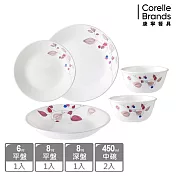 【美國康寧 CORELLE】嫣紅微風5件式碗盤組-E01