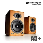 Audioengine A5+ 主動式立體聲藍牙書架喇叭-竹紋款