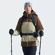 The North Face M MOUNTAINLIGHTGTX TRIJKT - AP 男兩件式外套-NF0A83RR5O3 M 棕色