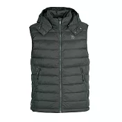 【荒野wildland】男700FP可拆帽輕暖羽絨背心鼠尾草綠 M 鼠尾草綠