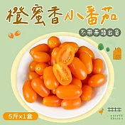 【禾鴻】橙蜜香小番茄禮盒5斤x1盒(不帶蒂頭出貨) 01/15-01/24出貨