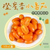 【禾鴻】橙蜜香小番茄禮盒3斤x1盒(不帶蒂頭出貨) 01/06-01/14出貨