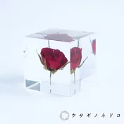 【usaginonedoko 京都兔之床】Sola cube 玫瑰立方塊 (花言葉：熱情、美麗) | 鈴木太太公司貨