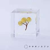 【usaginonedoko 京都兔之床】Sola cube 永久花立方塊 (宙言葉：心的太陽) | 鈴木太太公司貨