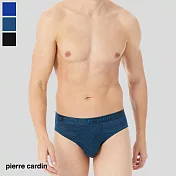 【pierre cardin 皮爾卡登】陽離子吸濕速乾緞彩動能三角褲(吸濕速乾-男內褲) M 綠色