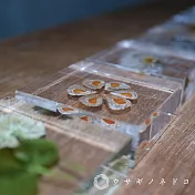 【usaginonedoko 京都兔之床】1.5cm厚切型片狀標本- 大百合種子 | 鈴木太太公司貨