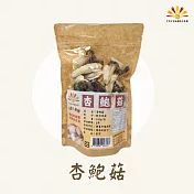 【亞源泉】杏鮑菇 100g/包 乾杏鮑菇 10入組(贈亞源泉系列商品1包)