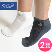 Crocodile鱷魚 純棉毛巾底運動襪 刺繡船型棉襪(2雙) 22-26CM-灰x2