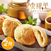 【太陽堂烘焙坊】經典太陽餅禮盒x2盒(奶素 12入/盒)