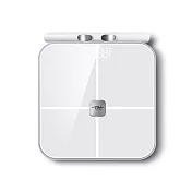 【TreasHunter】IOT FatScale 全域電極智能體脂秤