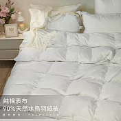 【麗塔寢飾】5x7單人 羽絨被90/10優質天然