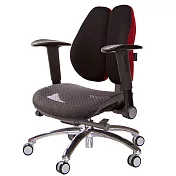 GXG 大網座 低雙背工學椅(鋁腳/摺疊升降扶手) TW-3075 LU1