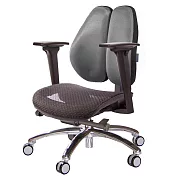 GXG 大網座 低雙背工學椅(鋁腳/3D升降扶手) TW-3075 LU9