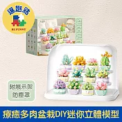 【逗趣點】多肉系列 療癒盆栽DIY迷你立體模型 附展示架+防塵罩
