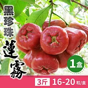 【家購網嚴選】屏東黑珍珠蓮霧 3斤 (16-20顆/盒)