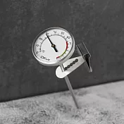 Driver New防水溫度計 (2入)