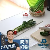【NANOLABO】UB珪藻土瞬間吸水置物墊 (長形款-M) | 鈴木太太公司貨