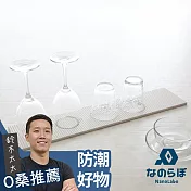 【NANOLABO】UB珪藻土瞬間吸水置物墊 (長形款-L) | 鈴木太太公司貨