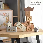 amanoppo 故事積木