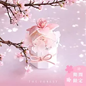 春戀櫻花香氛擴香花（附贈5ml SAKURA19香氛油）