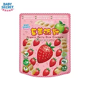 【BABY SECRET 寶寶的秘密】有機米餅袋裝(12M+) 草莓蘋果
