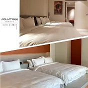 (電子票) 花蓮【水樹 Aquatree Resort】雙大床房或日式雙大床房吃飽睡足二選一(MO25)【受託代銷】