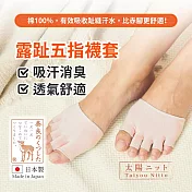 日本TAIYOU NITTO 露趾五指襪套