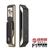 TEW 台熱牌 智能8合1推拉式電子鎖/門鎖(F1)(掌靜脈/人臉/指紋/密碼/卡片/鑰匙/APP遠端開門/雙向通話)(附基本安裝)