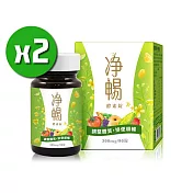 大漢酵素 淨暢酵素錠 x2瓶 (90粒/瓶)