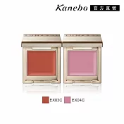 【Kanebo 佳麗寶】LUNASOL 晶巧霓光單色眼彩 1.2g# EX03C