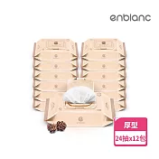 韓國 ENBLANC 銀離子抗菌｜輕厚松針｜有蓋隨身包純水濕紙巾｜24抽12包