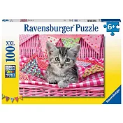 德國Ravensburger維寶拼圖 可愛貓咪(100P)