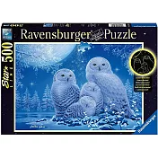 德國Ravensburger維寶拼圖 夜光版 月光下貓頭鷹 (500P)