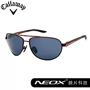 Callaway FLIER 偏光太陽眼鏡 高清鏡片