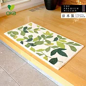 【日本OKA】日製抗菌防臭可水洗威爾頓編織玄關地墊-60x110cm- 新葉綠