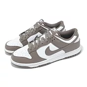 Nike 休閒鞋 Dunk Low 男鞋 女鞋 Cave Stone 岩石灰 低筒 皮革 HF5441-111