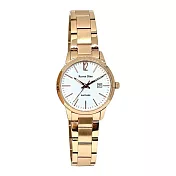 Roven Dino羅梵迪諾 城市旅人時尚腕錶-玫瑰金X白