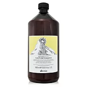 Davines 特芬莉 達芬尼斯 純淨抗屑洗髮露 1000ml