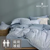 MONTAGUT-60支300織紗萊賽爾纖維-天絲兩用被床包組(花意景嵐-雙人)