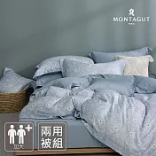 MONTAGUT-60支300織紗萊賽爾纖維-天絲兩用被床包組(花意景嵐-加大)