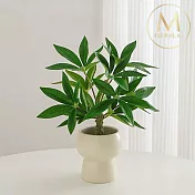 【Floral M】財富滿滿發財樹仿真綠植