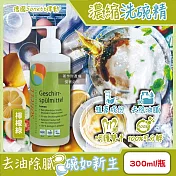德國Sonett律動-按壓式高去汙環保植萃超濃縮洗碗精300ml/瓶(泡泡洗潔精,碗盤清潔劑,呵護雙手洗碗凝露,鍋具抹布清潔,去除餐具髒汙油膩) 檸檬綠