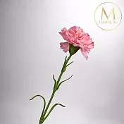 【Floral M】手感保濕康乃馨蜜桃粉仿真花材（2入組）