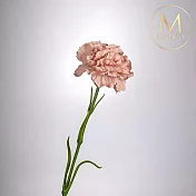【Floral M】手感保濕康乃馨裸奶茶仿真花材（2入組）