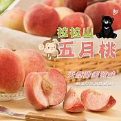 黑貓嚴選【周家農場】五月桃(8粒/1087.5g/盒，不含盒重)05/20~05/27間出貨